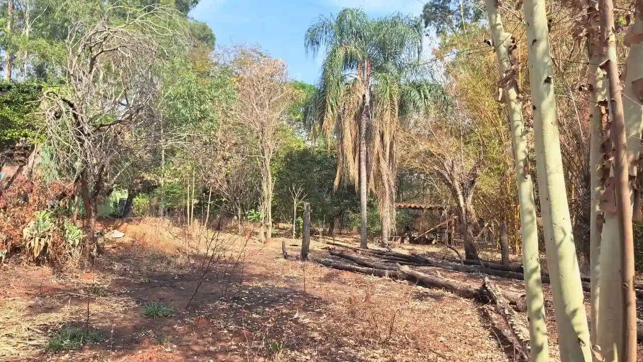 Fazenda / Sítio / Chácara com 3 quartos à venda, 4000m² — foto 7 de 25