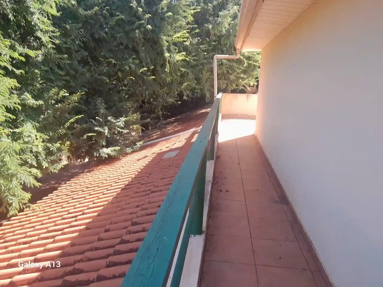 Fazenda / Sítio / Chácara com 3 quartos à venda, 50000m² — foto 15 de 37