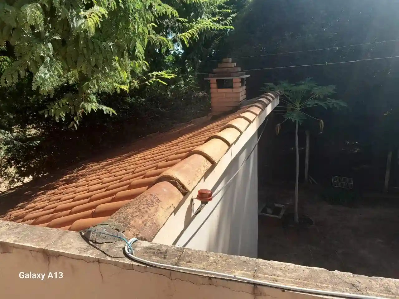 Fazenda / Sítio / Chácara com 3 quartos à venda, 50000m² — foto 21 de 37