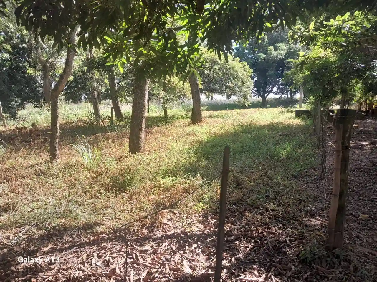 Fazenda / Sítio / Chácara com 3 quartos à venda, 50000m² — foto 3 de 37