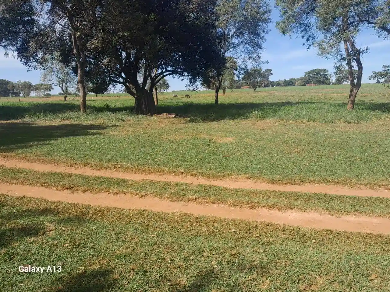 Fazenda / Sítio / Chácara com 3 quartos à venda, 50000m² — foto 9 de 37