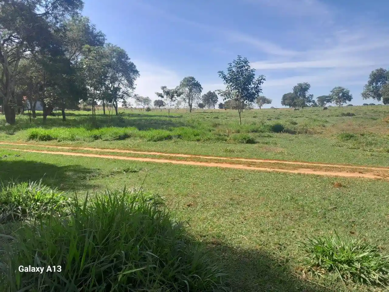 Fazenda / Sítio / Chácara com 3 quartos à venda, 50000m² — foto 17 de 37