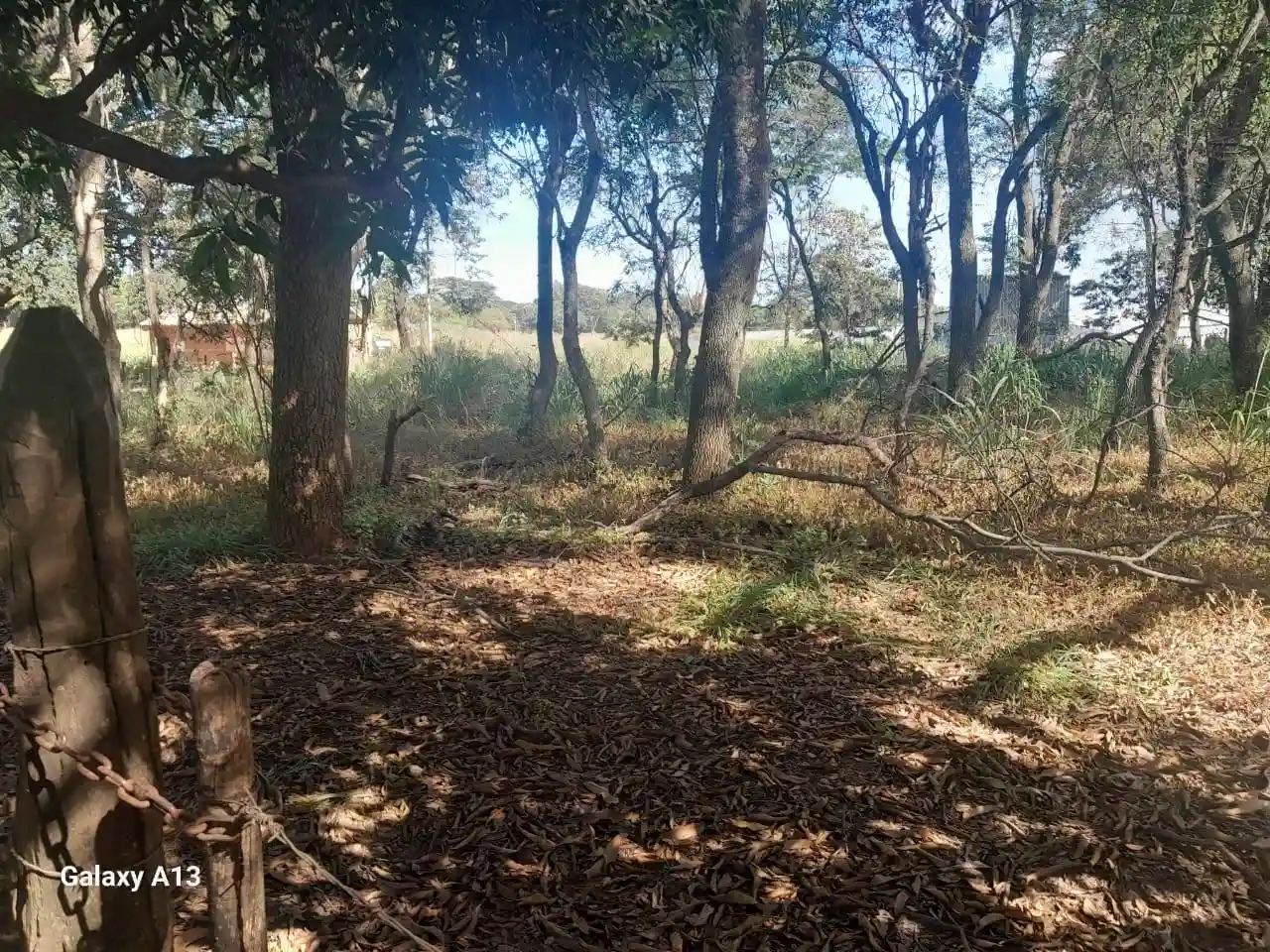Fazenda / Sítio / Chácara com 3 quartos à venda, 50000m² — foto 12 de 37