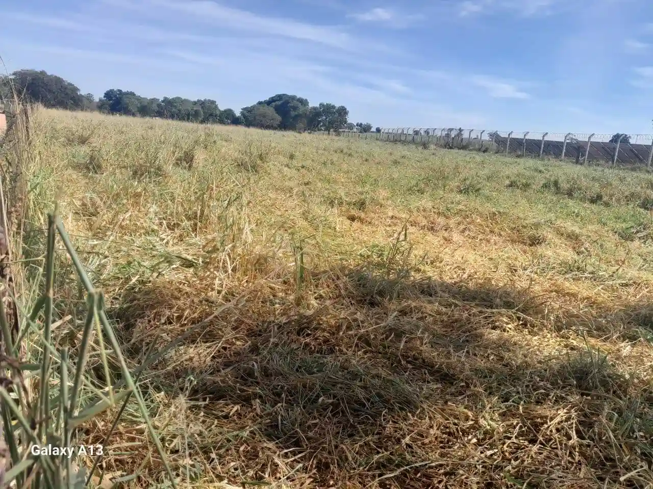 Fazenda / Sítio / Chácara com 3 quartos à venda, 50000m² — foto 7 de 37