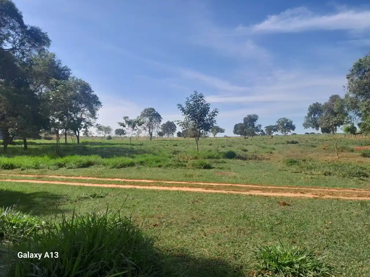 Fazenda / Sítio / Chácara com 3 quartos à venda, 50000m² — foto 6 de 37