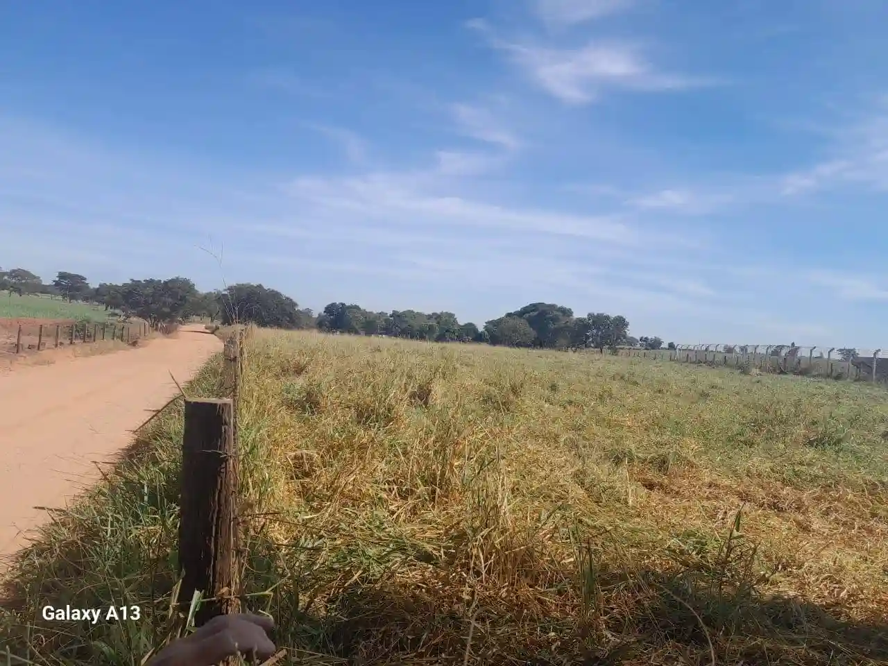 Fazenda / Sítio / Chácara com 3 quartos à venda, 50000m² — foto 31 de 37