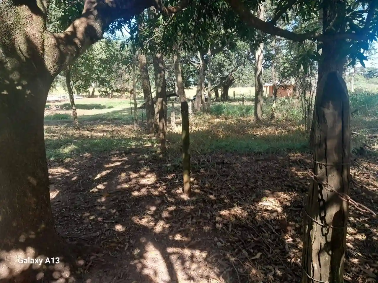 Fazenda / Sítio / Chácara com 3 quartos à venda, 50000m² — foto 25 de 37