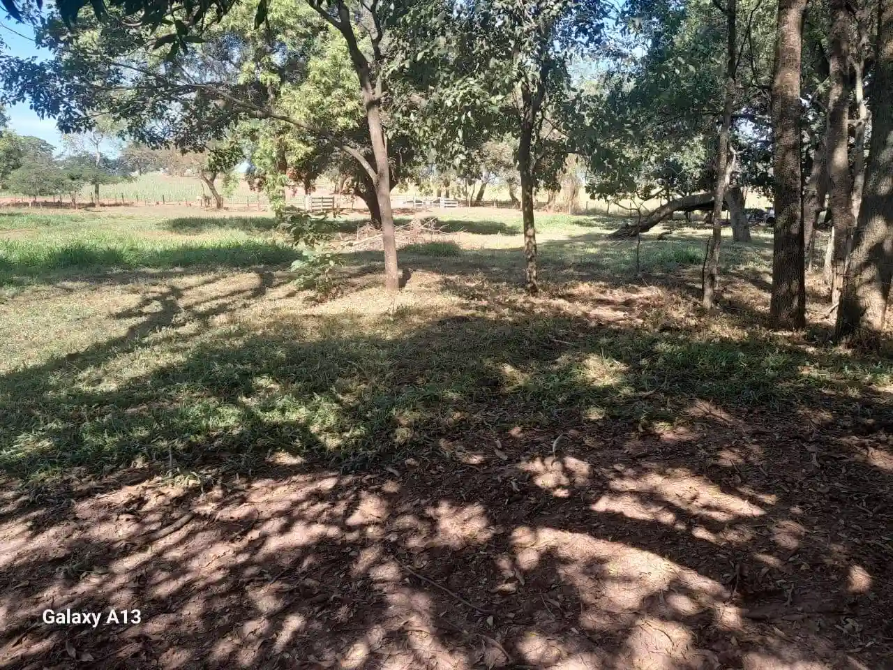Fazenda / Sítio / Chácara com 3 quartos à venda, 50000m² — foto 11 de 37