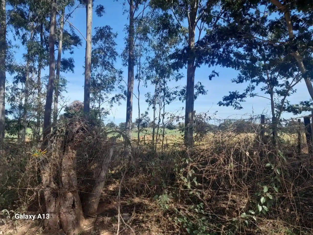 Fazenda / Sítio / Chácara com 3 quartos à venda, 50000m² — foto 27 de 37