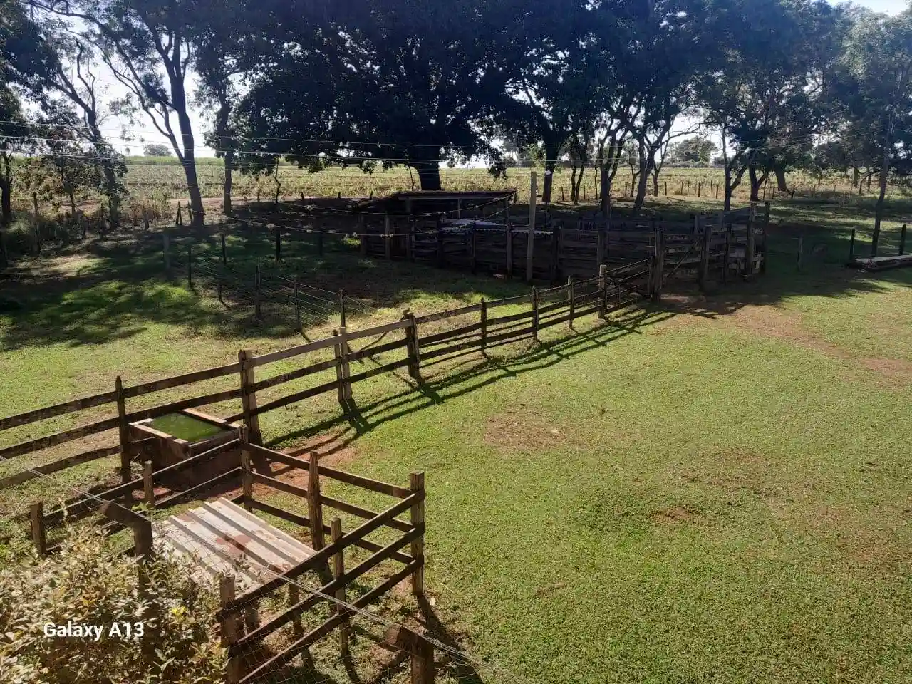 Fazenda / Sítio / Chácara com 3 quartos à venda, 50000m² — foto 13 de 37
