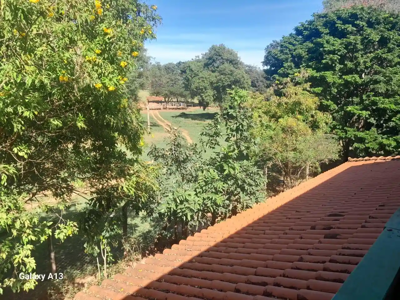 Fazenda / Sítio / Chácara com 3 quartos à venda, 50000m² — foto 1 de 37