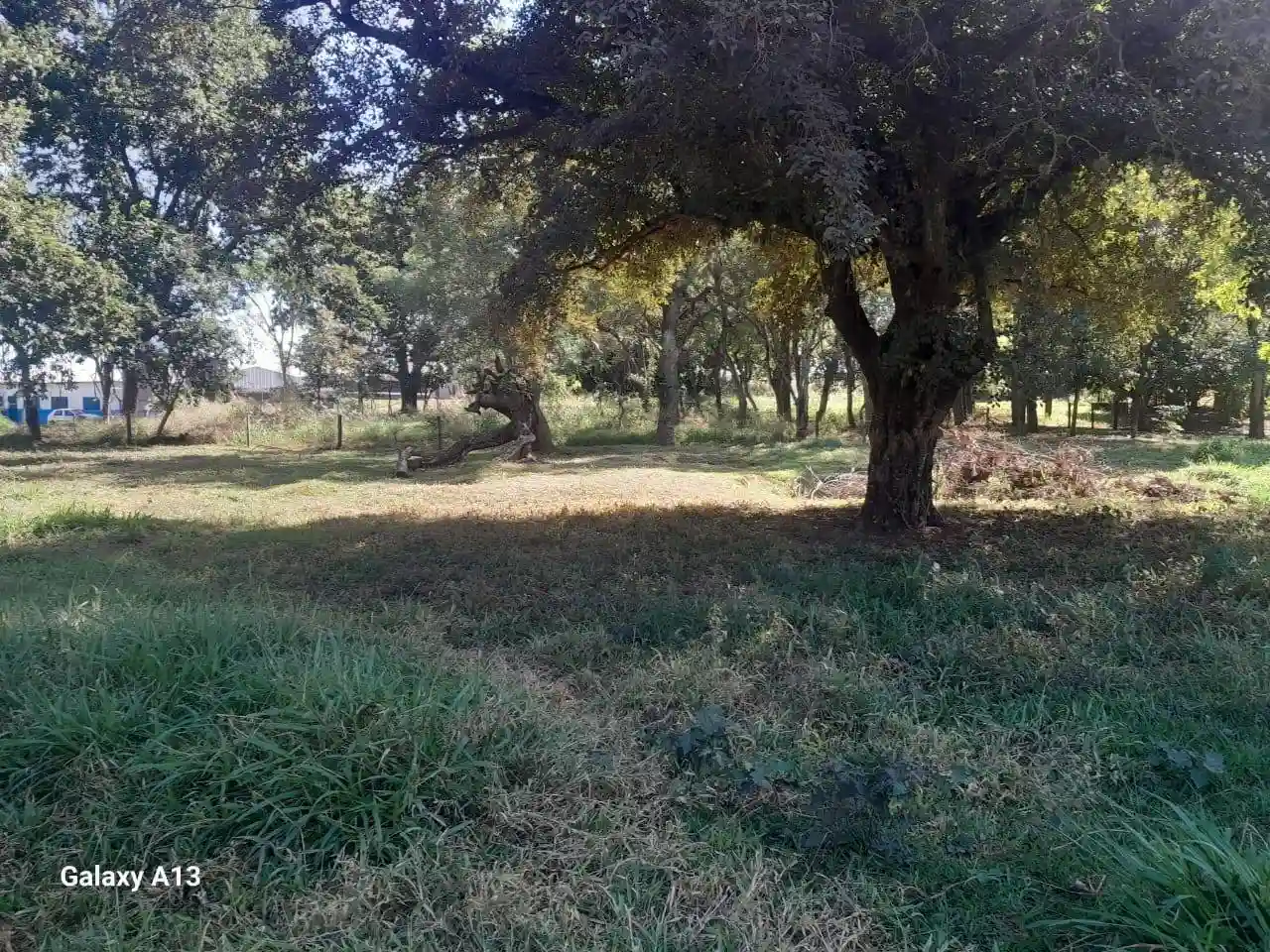 Fazenda / Sítio / Chácara com 3 quartos à venda, 50000m² — foto 35 de 37