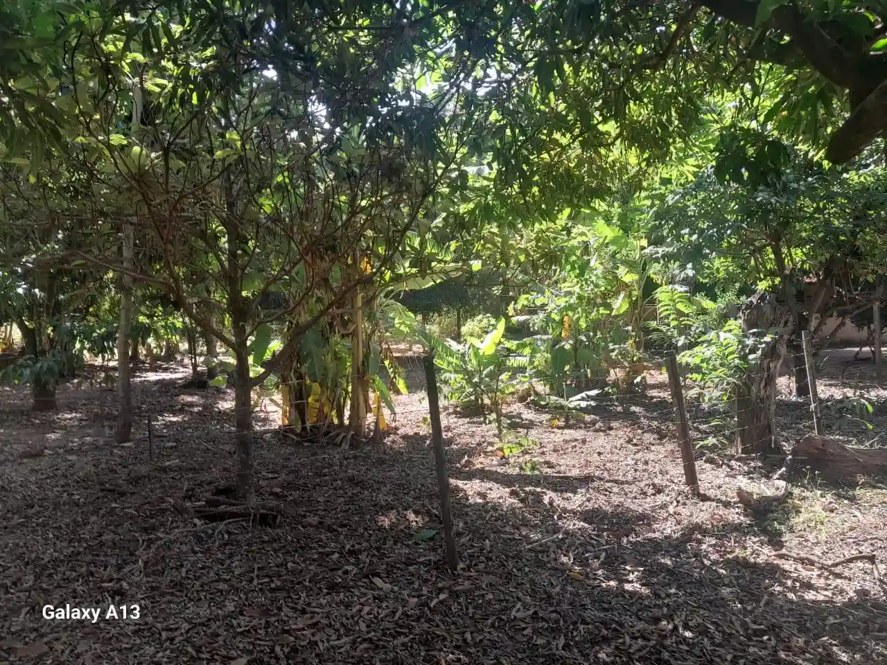 Fazenda / Sítio / Chácara com 3 quartos à venda, 50000m² — foto 18 de 37