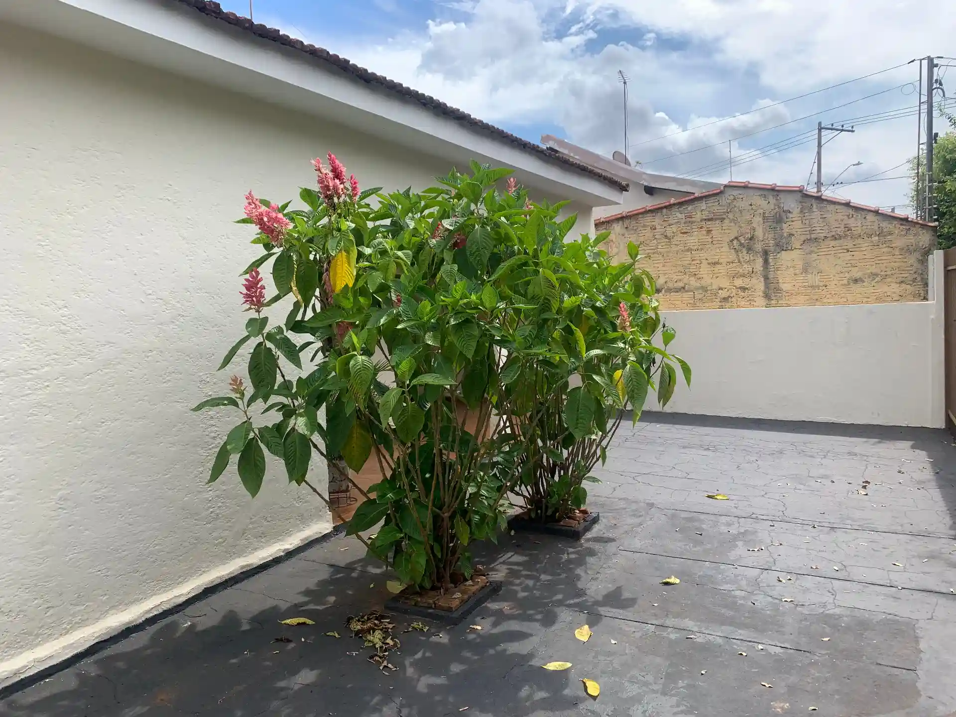 Casa com 3 quartos à venda, 183m² — foto 8 de 27