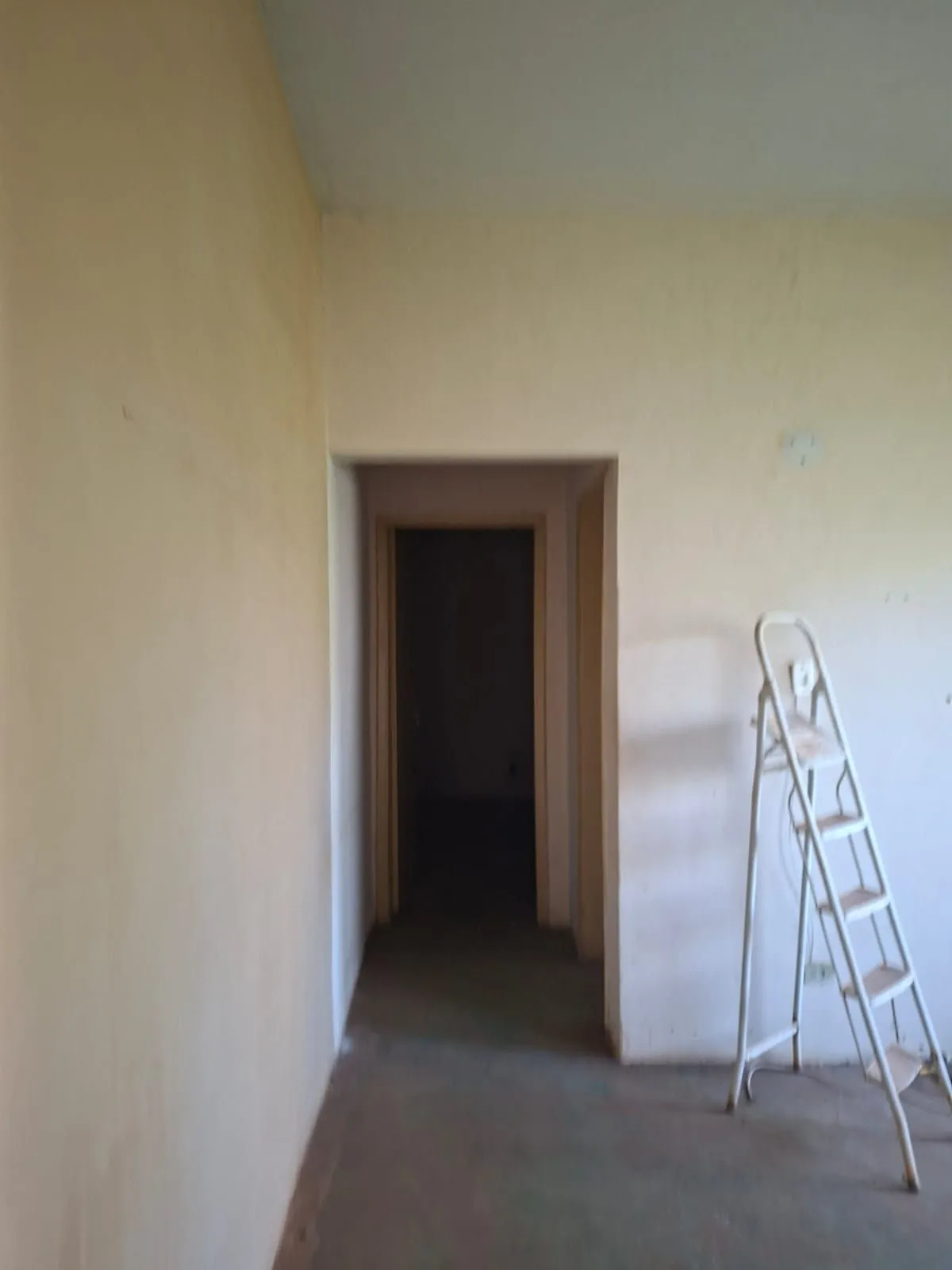 Casa com 1 quarto à venda, 450m² — foto 4 de 24