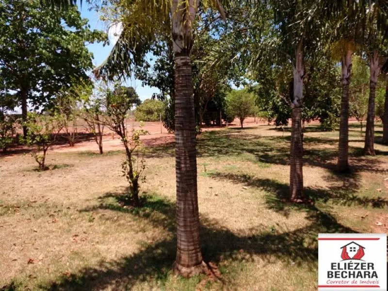 Fazenda / Sítio / Chácara à venda — foto 7 de 7
