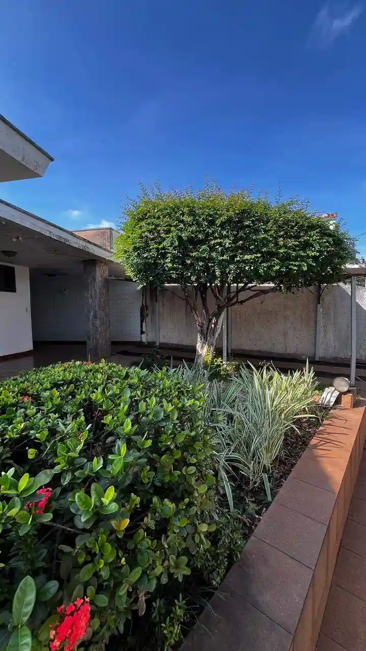 Casa com 4 quartos à venda, 270m² — foto 3 de 39