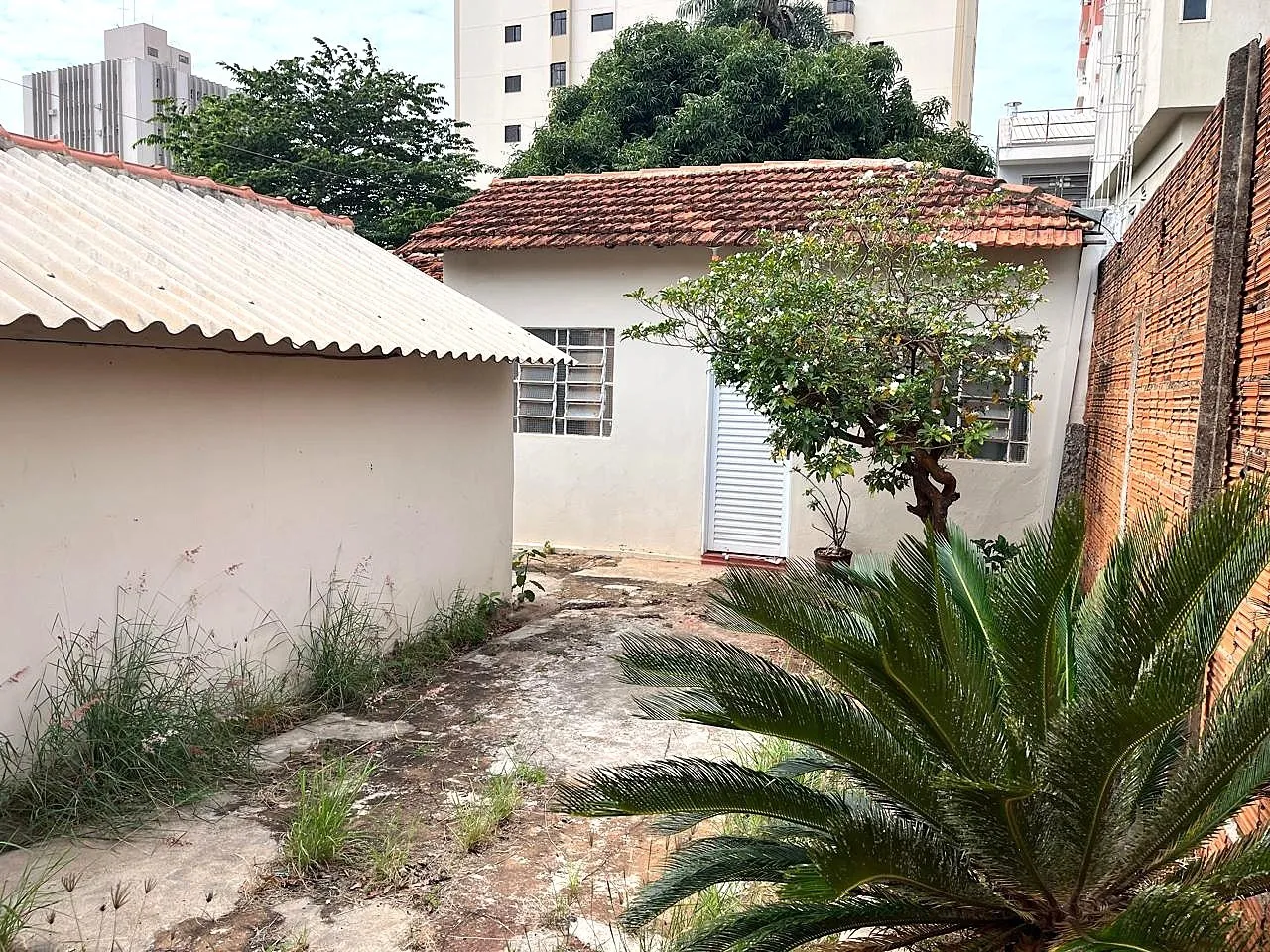 Casa com 1 quarto para aluguel, 50m² — foto 4 de 12