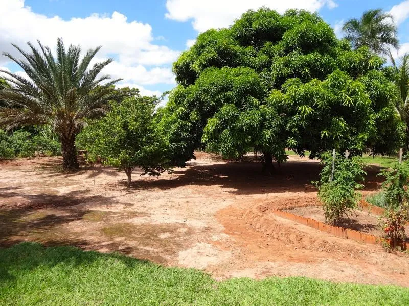Fazenda / Sítio / Chácara à venda — foto 5 de 18