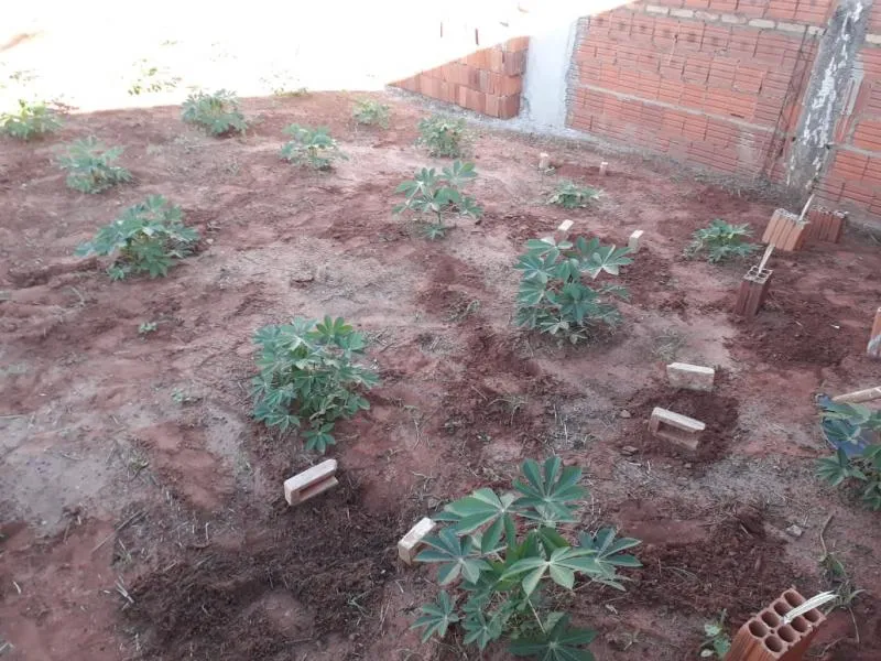 Terreno / Lote / Condomínio à venda — foto 3 de 3