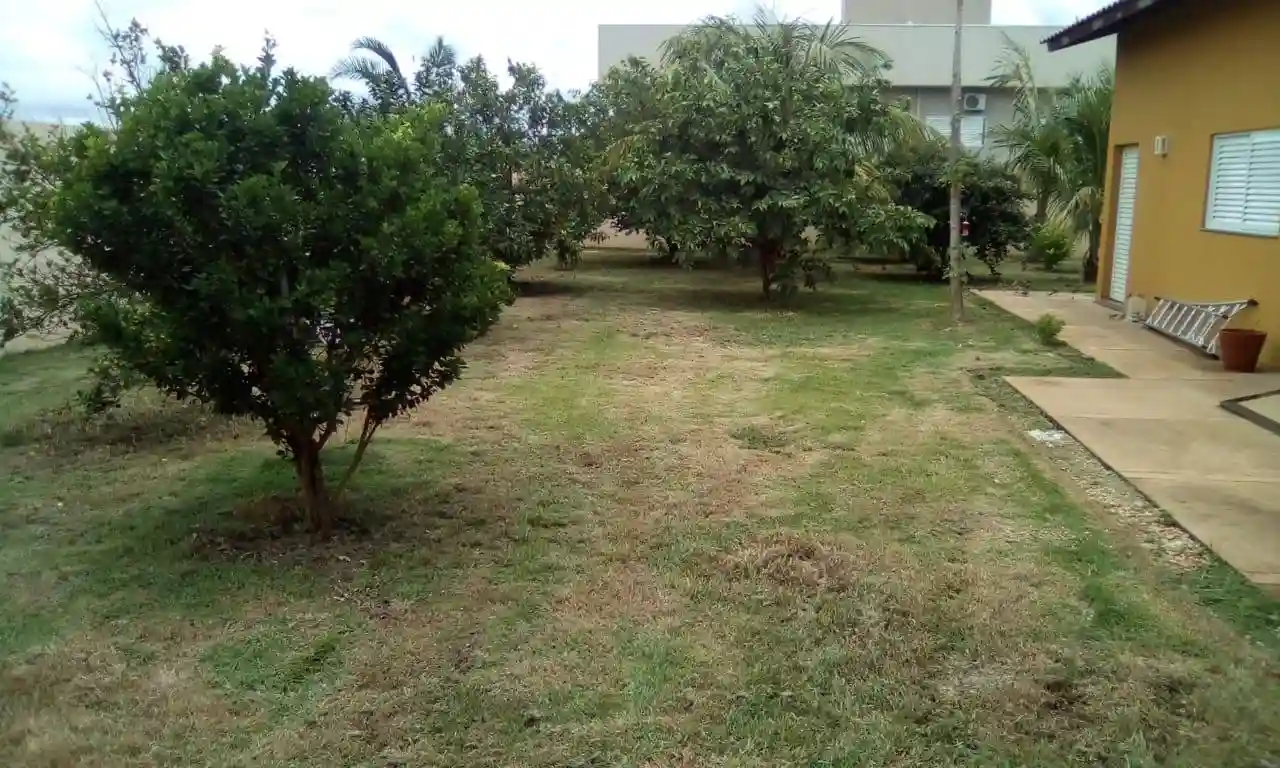 Fazenda / Sítio / Chácara com 5 quartos à venda, 1000m² — foto 10 de 14