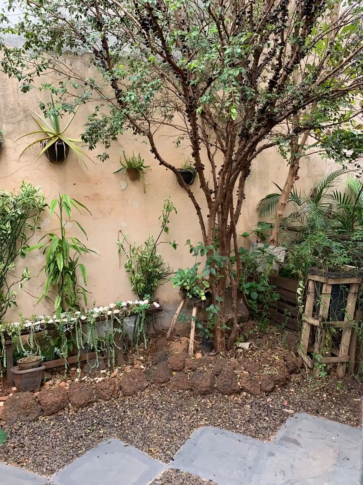 Casa com 2 quartos à venda, 130m² — foto 5 de 16