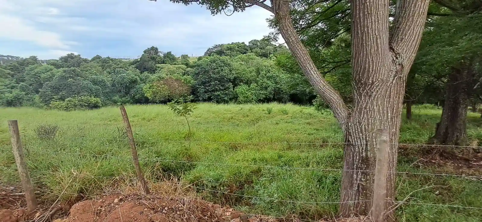 Área Comercial  à venda, 31000m² — foto 6 de 8