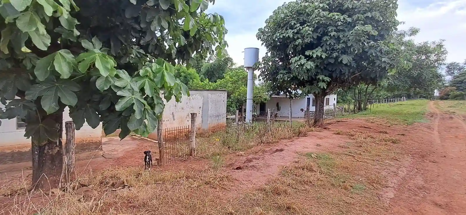 Área Comercial  à venda, 31000m² — foto 5 de 8