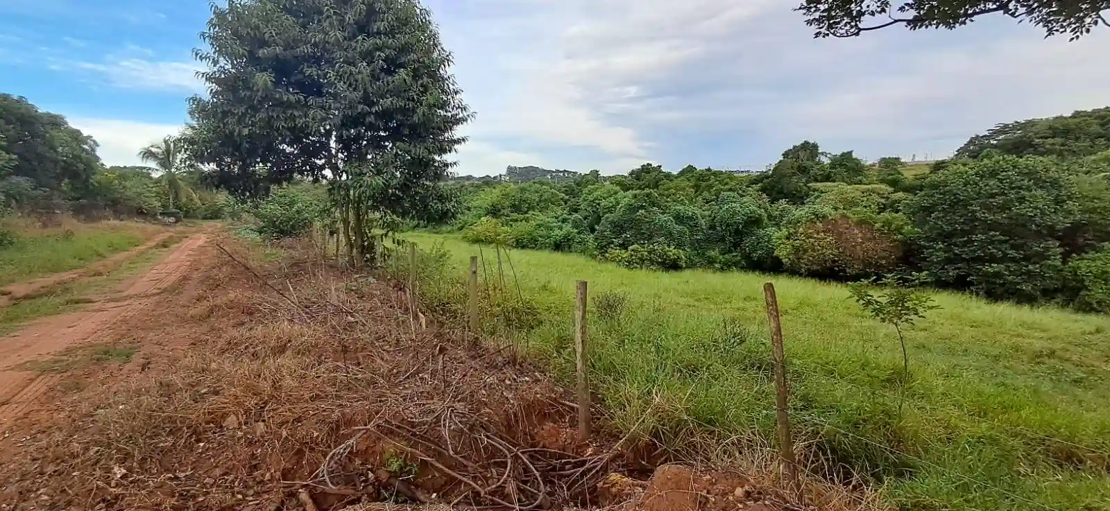 Área Comercial  à venda, 31000m² — foto 8 de 8