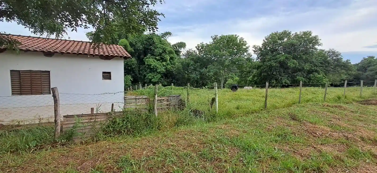 Área Comercial  à venda, 31000m² — foto 3 de 8