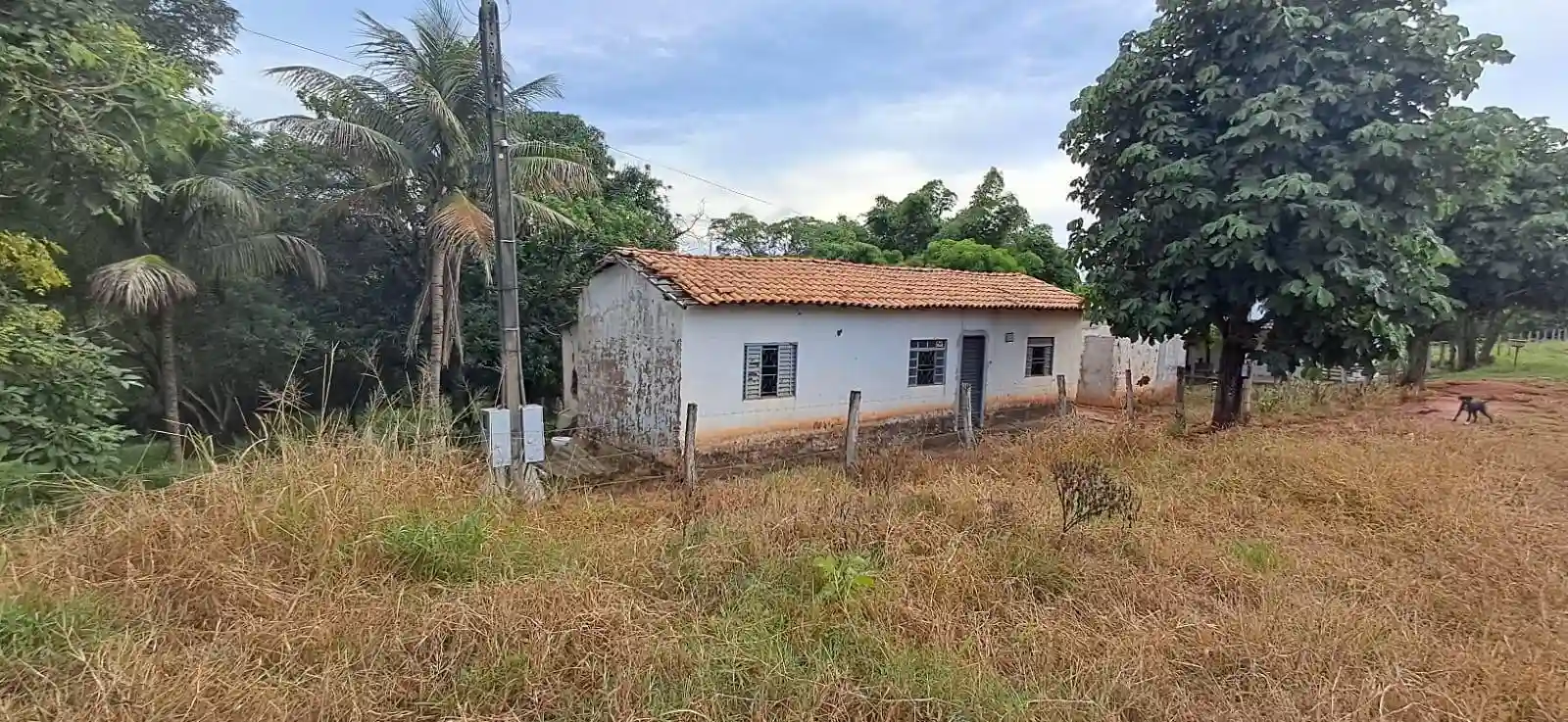 Área Comercial  à venda, 31000m² — foto 4 de 8