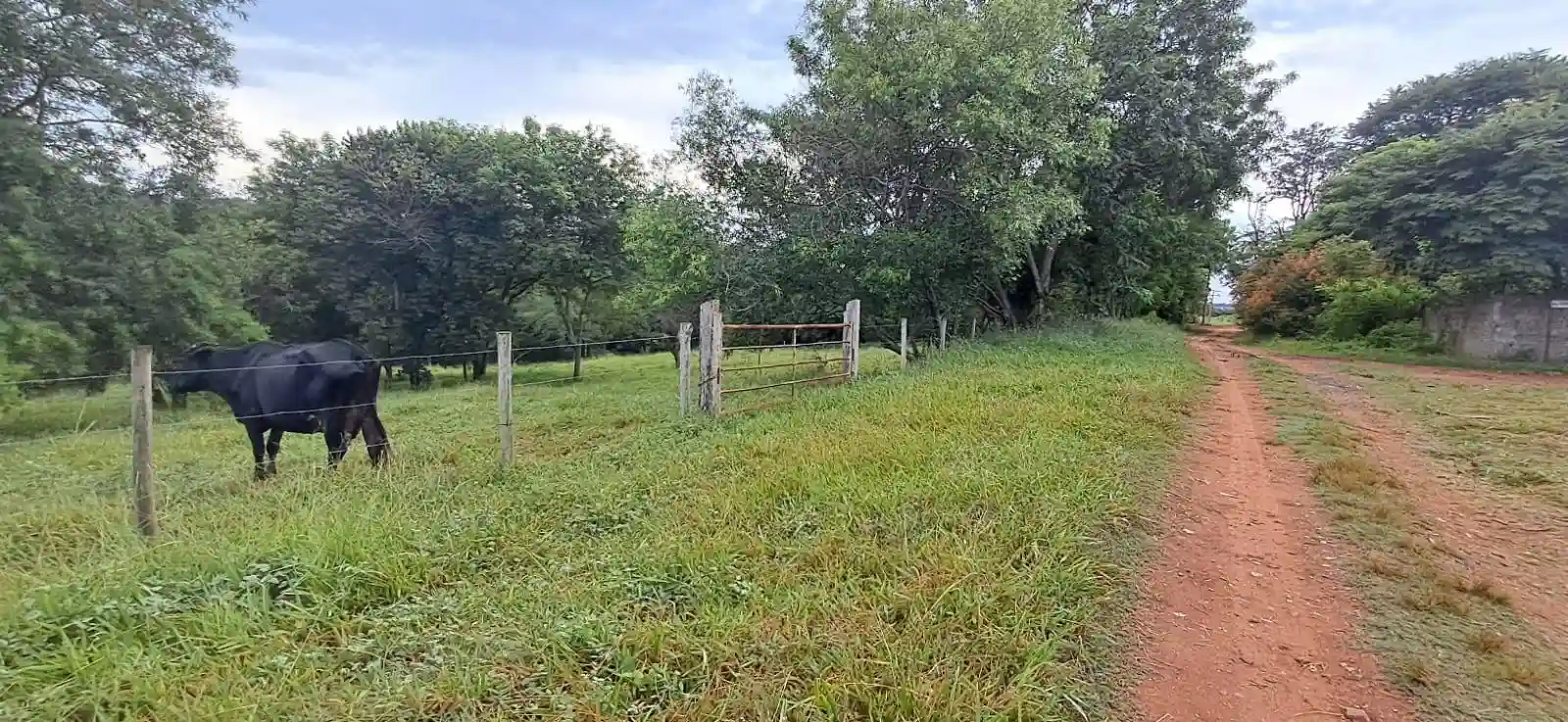 Área Comercial  à venda, 31000m² — foto 1 de 8