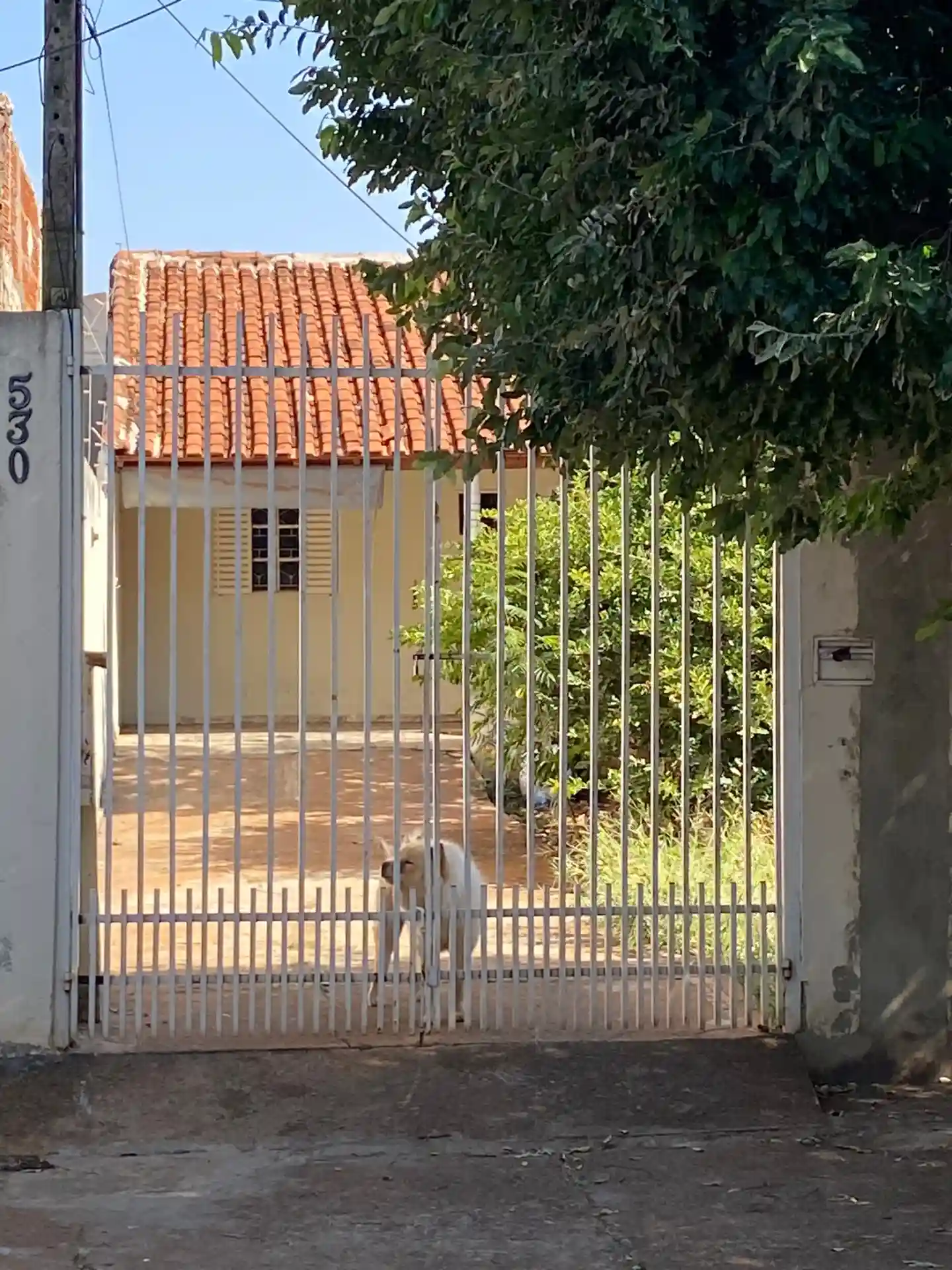 Casa com 1 quarto à venda, 200m² — foto 4 de 4