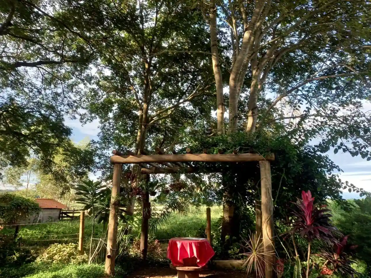 Fazenda / Sítio / Chácara  à venda, 72m² — foto 15 de 17