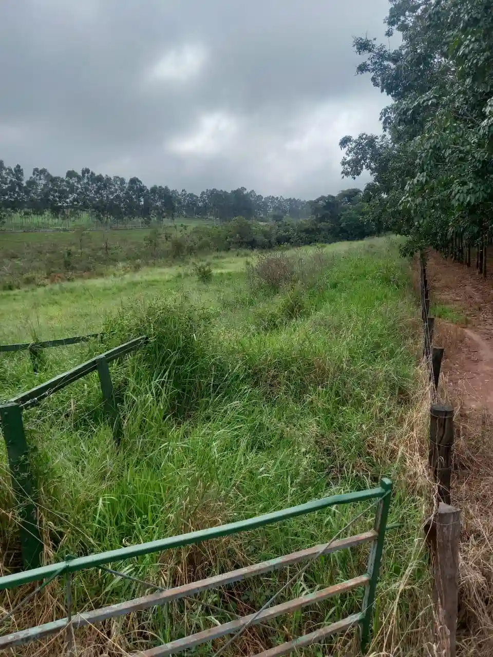 Fazenda / Sítio / Chácara  à venda, 72m² — foto 2 de 17