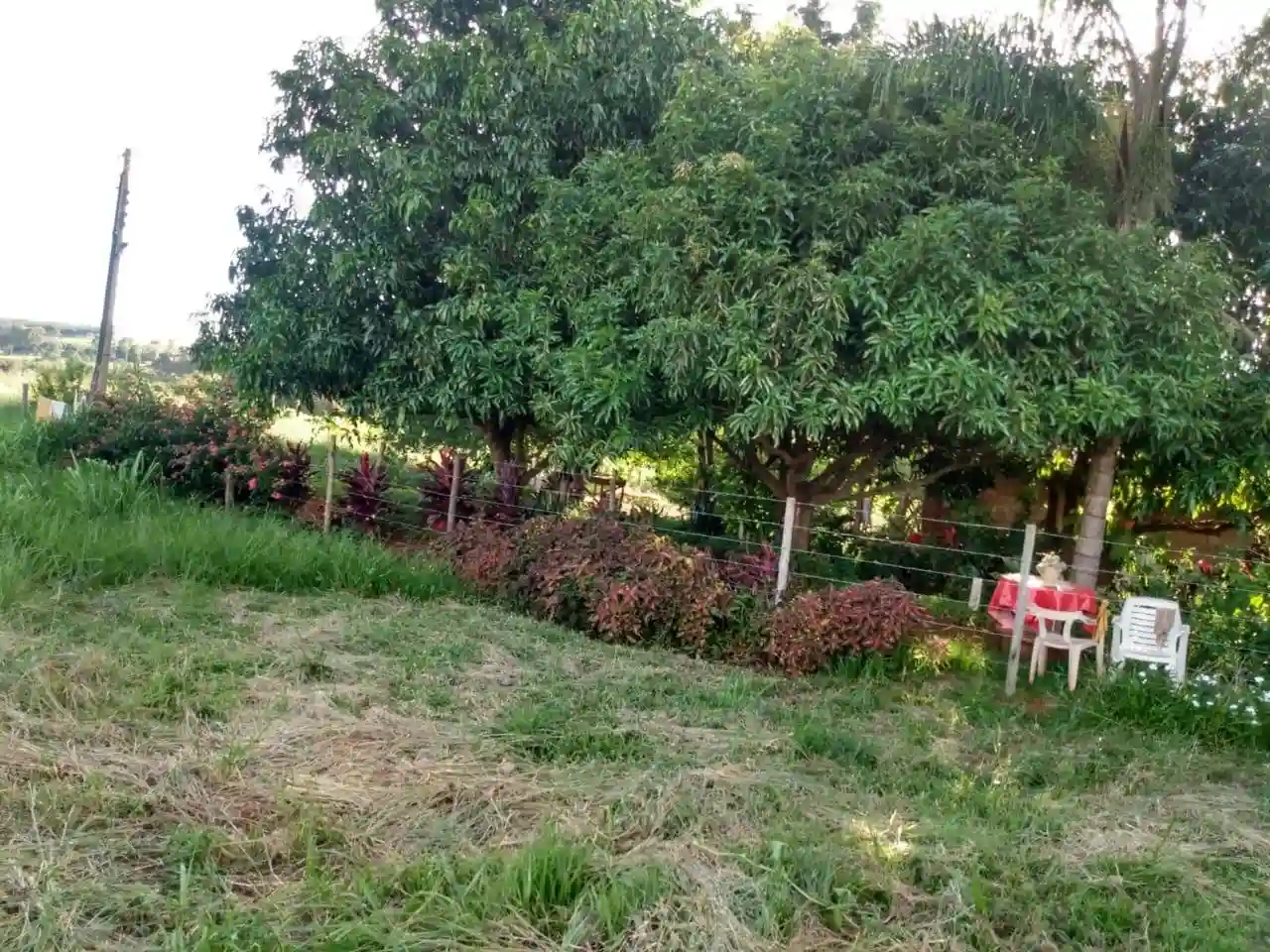 Fazenda / Sítio / Chácara  à venda, 72m² — foto 14 de 17