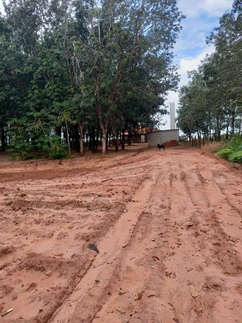 Fazenda / Sítio / Chácara  à venda, 72m² — foto 1 de 17