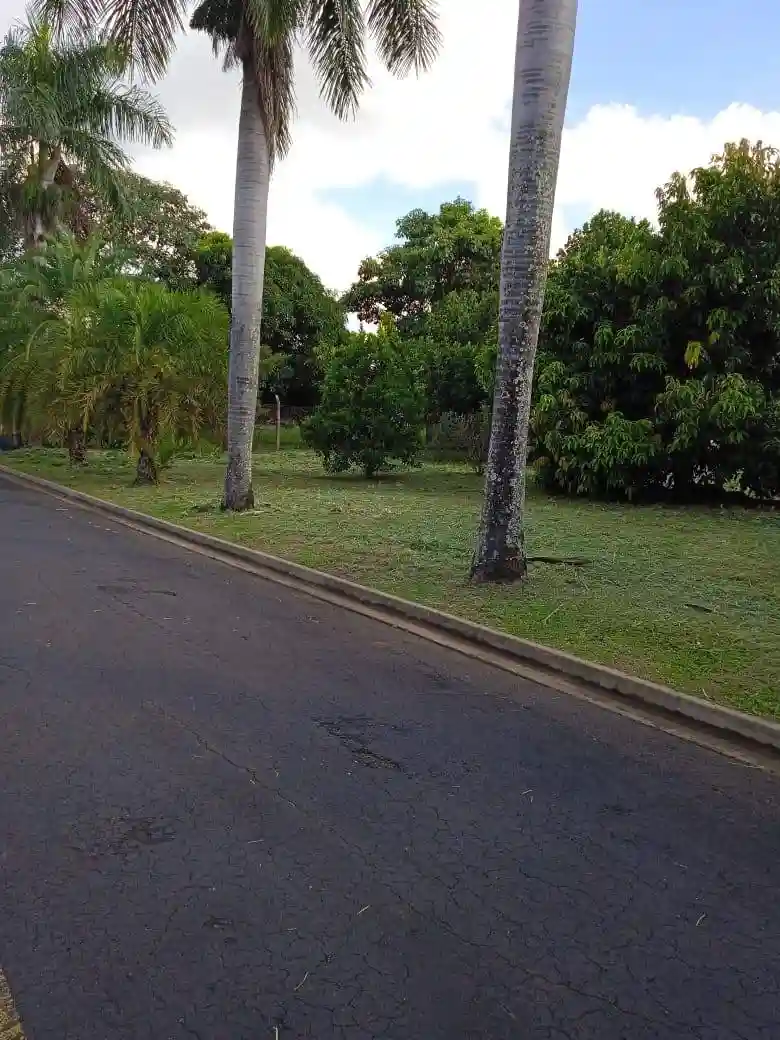 Terreno / Lote / Condomínio  à venda, 1600m² — foto 1 de 1