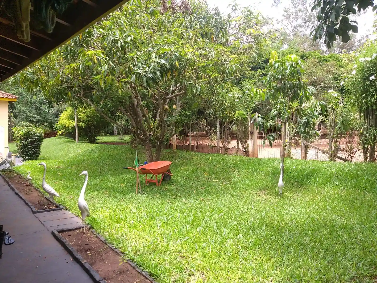 Fazenda / Sítio / Chácara com 2 quartos à venda, 6250m² — foto 6 de 8