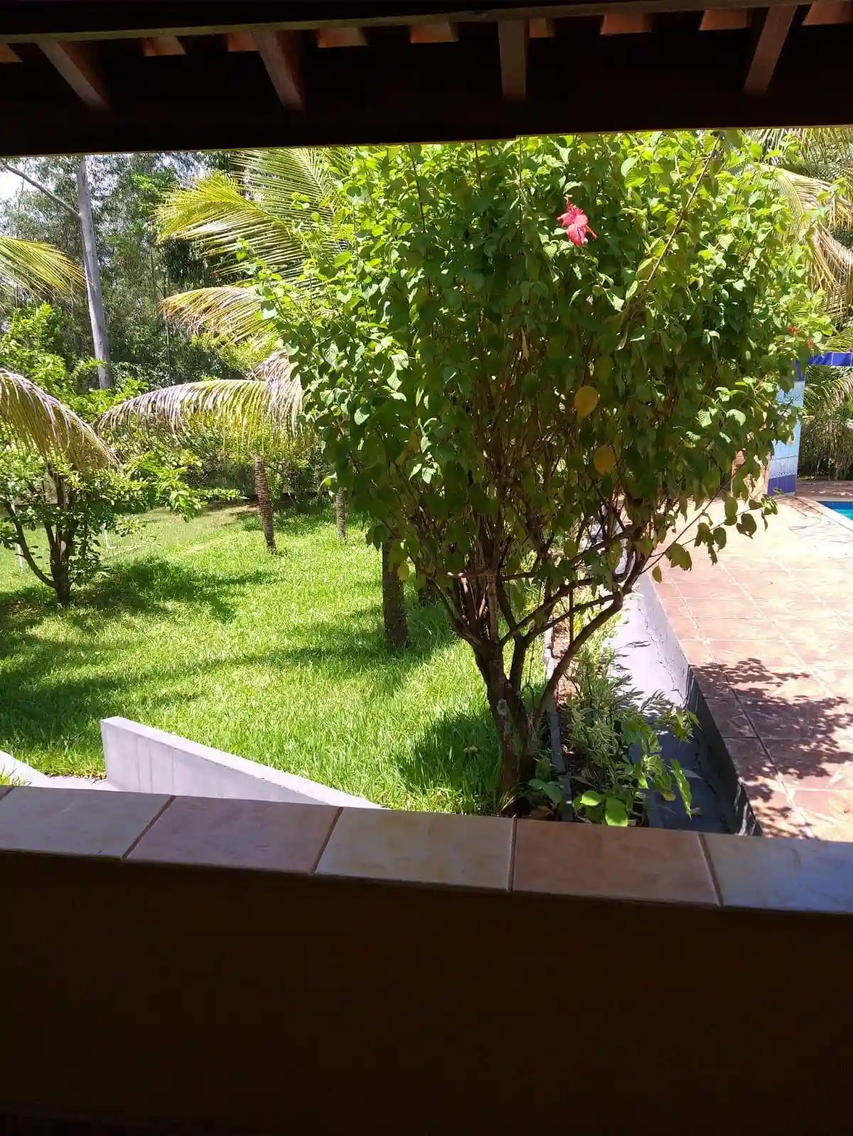 Fazenda / Sítio / Chácara com 2 quartos à venda, 6250m² — foto 5 de 8