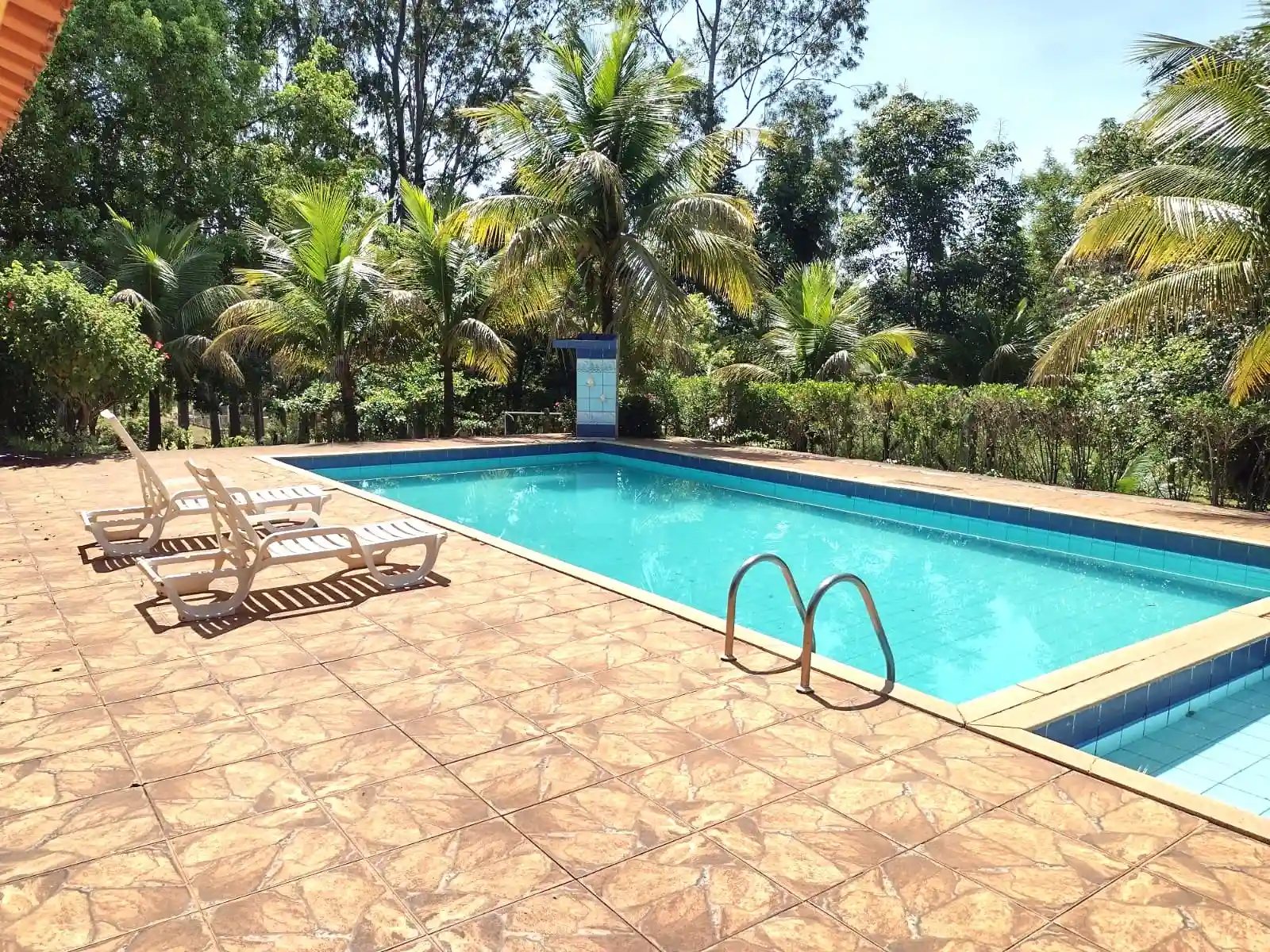 Fazenda / Sítio / Chácara com 2 quartos à venda, 6250m² — foto 2 de 8