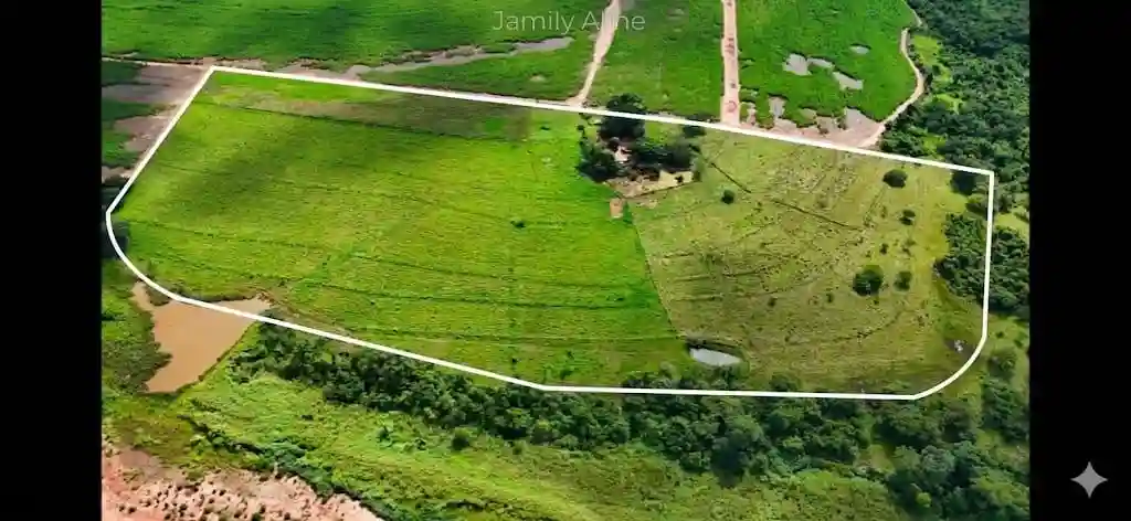 Fazenda / Sítio / Chácara  à venda, 8m² — foto 2 de 7