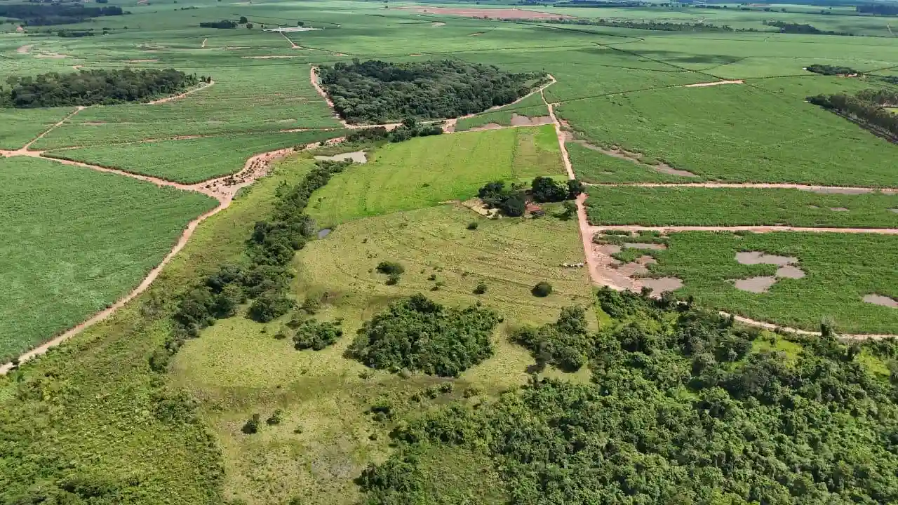 Fazenda / Sítio / Chácara  à venda, 8m² — foto 6 de 7