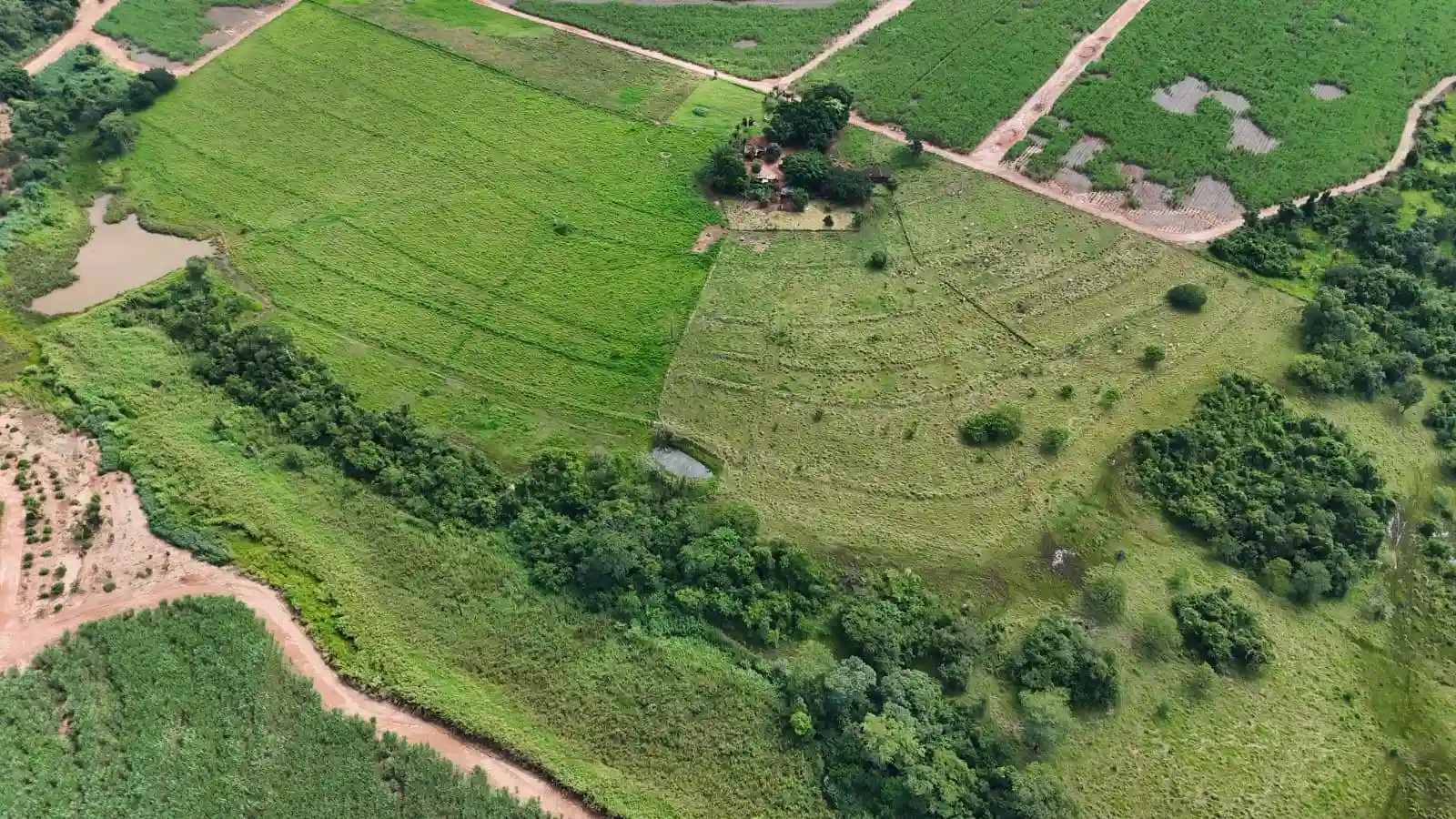 Fazenda / Sítio / Chácara  à venda, 8m² — foto 3 de 7