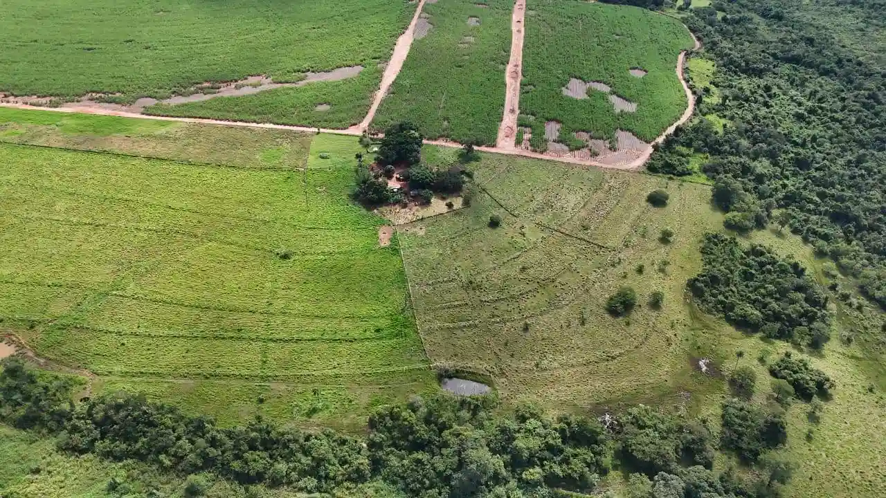 Fazenda / Sítio / Chácara  à venda, 8m² — foto 5 de 7
