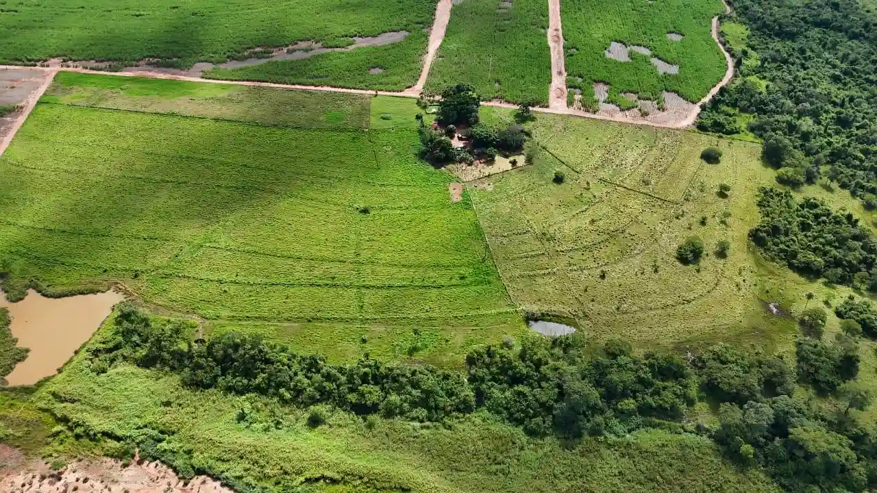 Fazenda / Sítio / Chácara  à venda, 8m² — foto 4 de 7