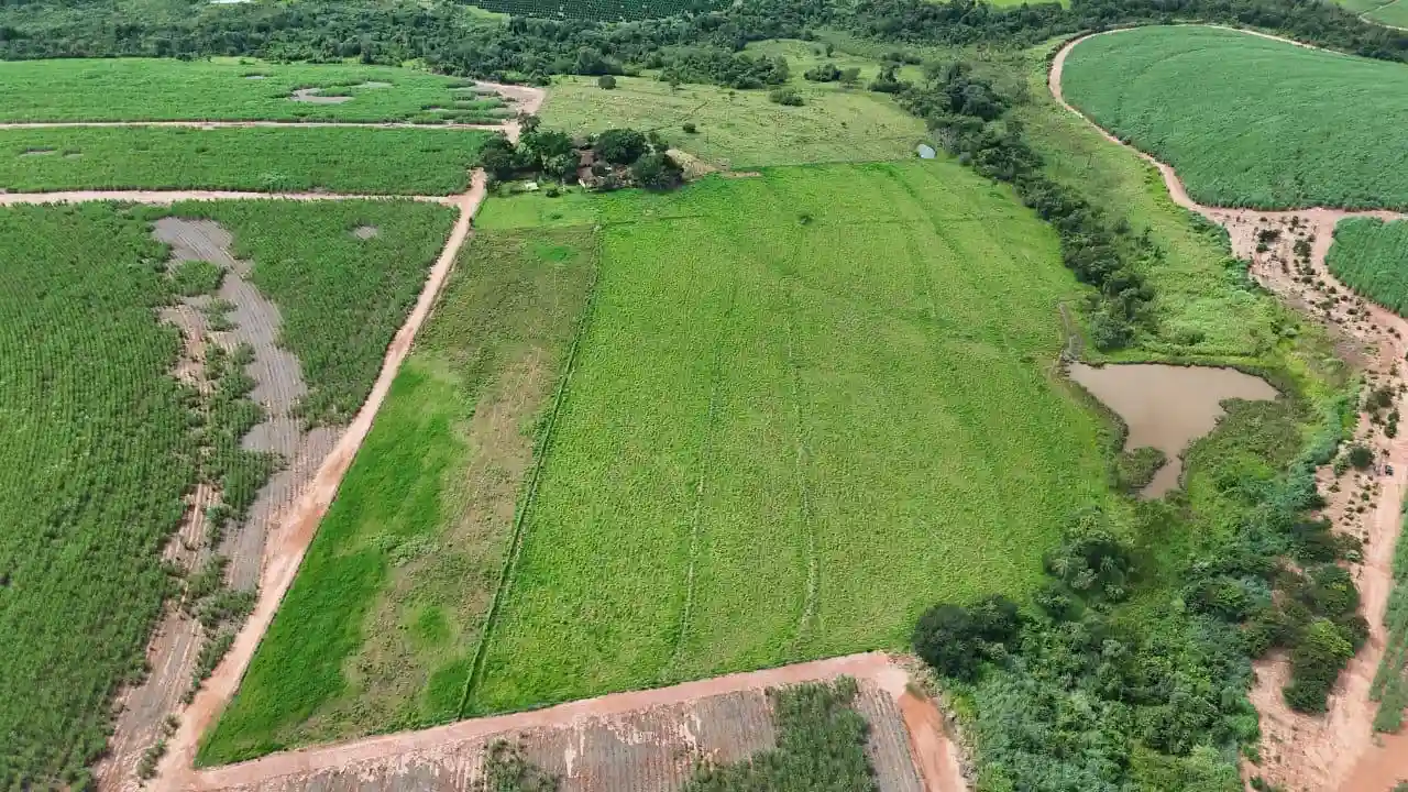 Fazenda / Sítio / Chácara  à venda, 8m² — foto 7 de 7