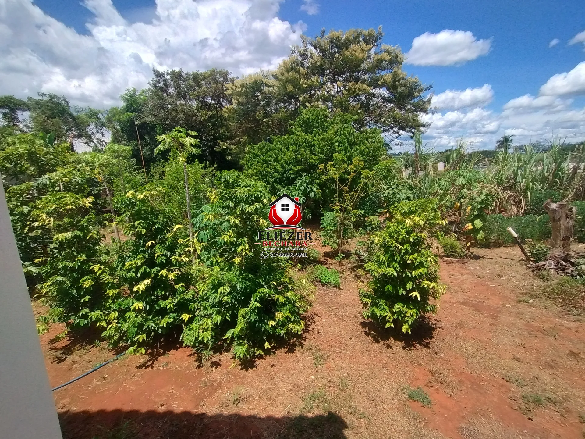 Fazenda / Sítio / Chácara com 3 quartos à venda, 2000m² — foto 22 de 37
