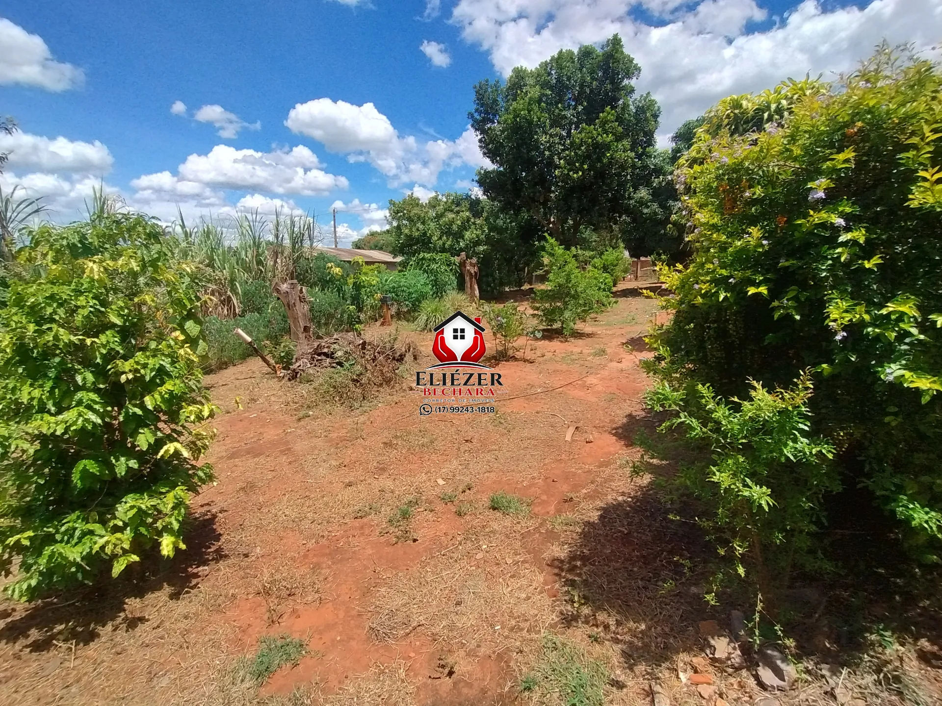 Fazenda / Sítio / Chácara com 3 quartos à venda, 2000m² — foto 24 de 37