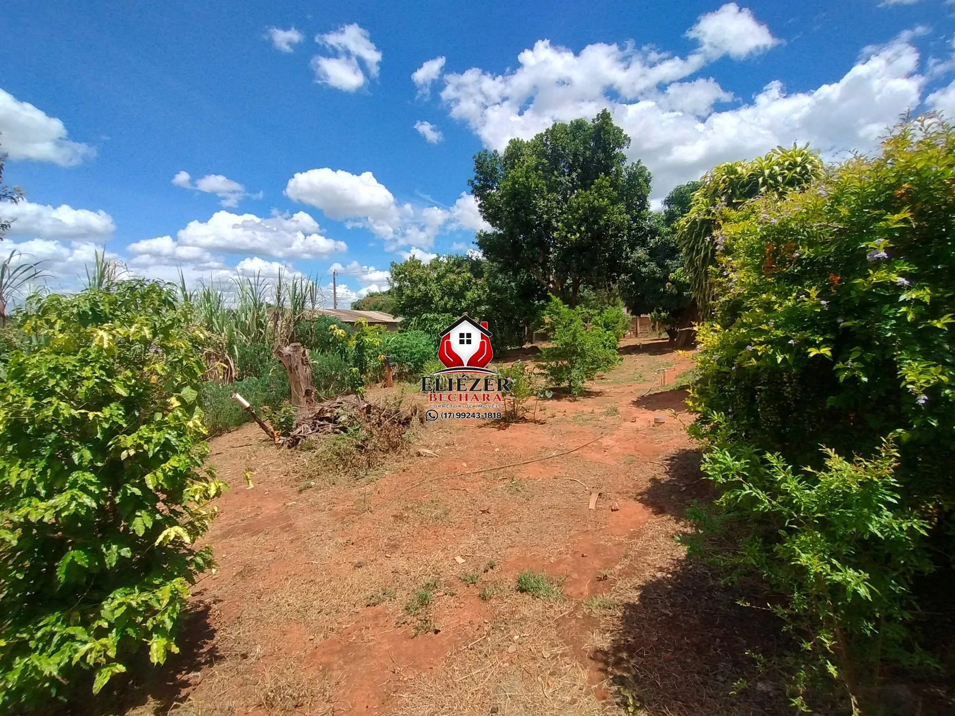 Fazenda / Sítio / Chácara com 3 quartos à venda, 2000m² — foto 25 de 37